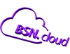 BRIGHTSIGN BSNCSUB-12-SB LICENCE IMMATERIELLE BSN CLOUD  BRIGHTSIGN BSNCSUB-12-SB LICENCE IMMATERIELLE BSN CLOUD
