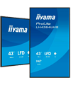 IIYAMA LH4364UHS-B1AG