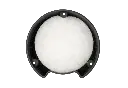 96443-2.webp