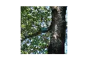 60104-2.webp