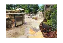 60108-5.webp