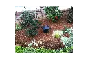 60216 3.webp