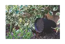 PATIO 4.1 WUA2-125 5.webp