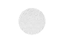 7.webp