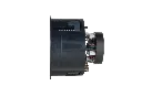 3.webp