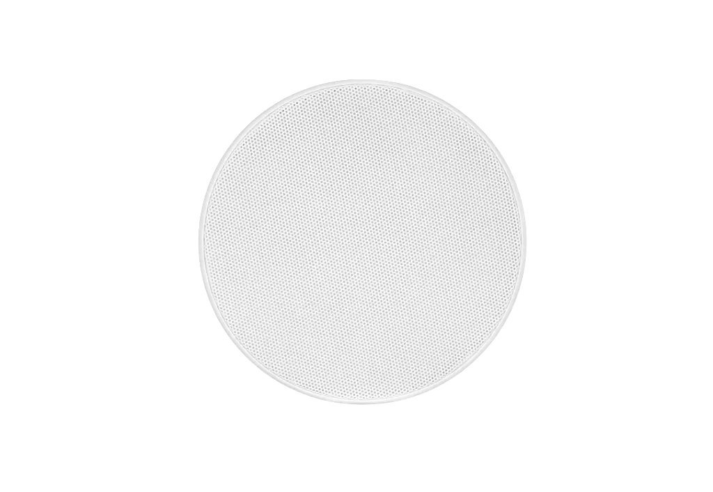 5.webp