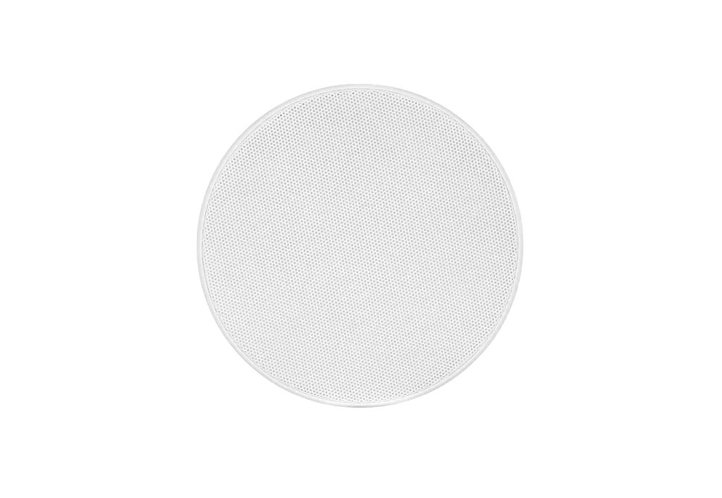 6.webp
