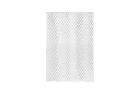 6.webp