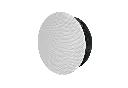 2.webp