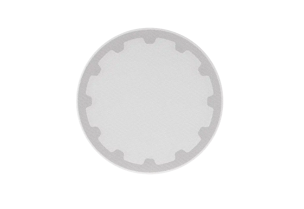 7.webp