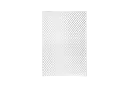 5.webp
