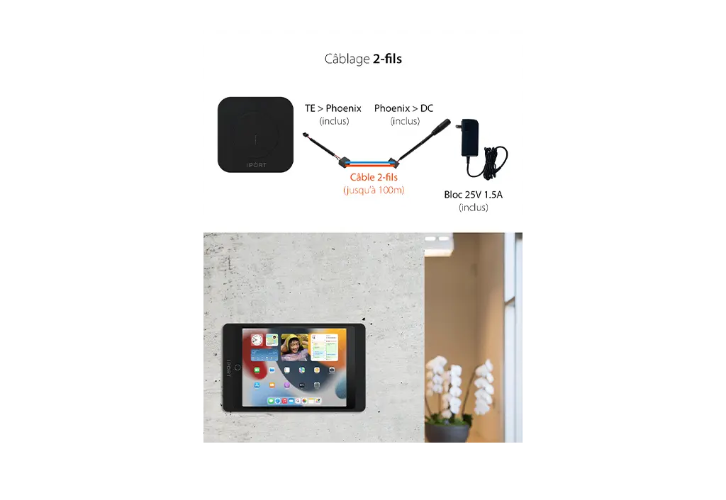 4.webp