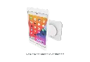 5.webp
