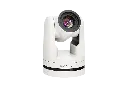 3.webp