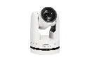 3.webp