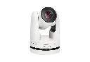 4.webp