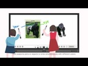 youtube - [Video]