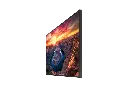 3.webp