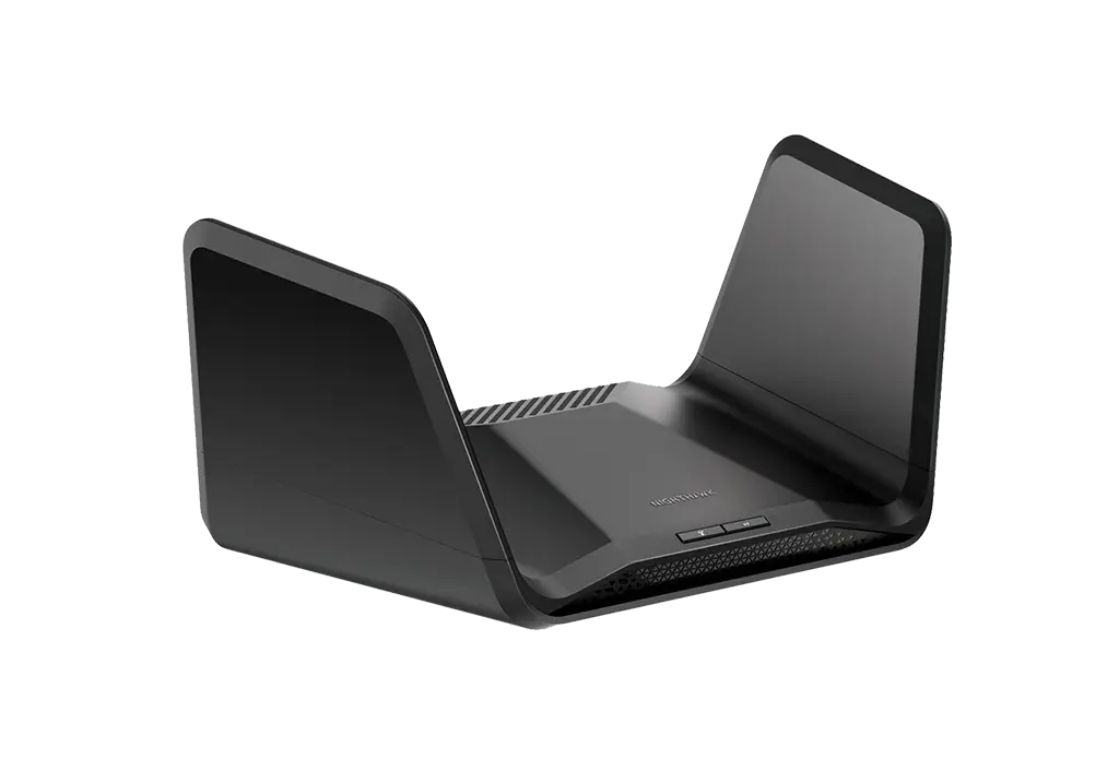 NETGEAR RAXE300-100EUS