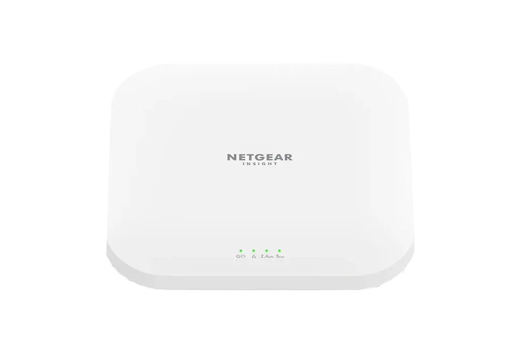 NETGEAR WAX620-100EUS