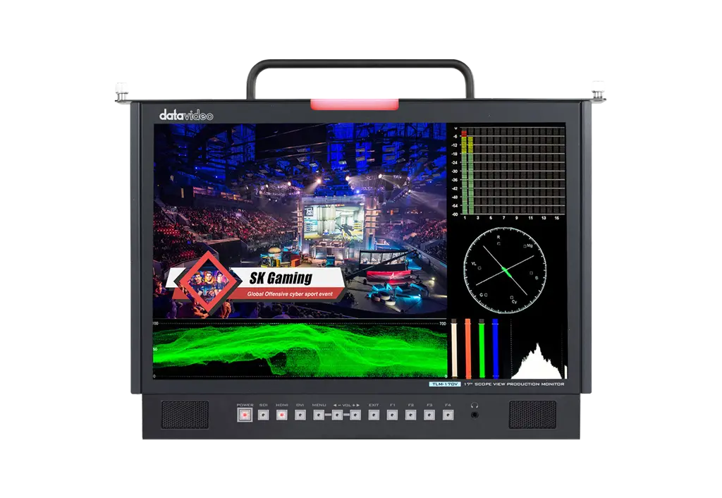 DATAVIDEO TLM-170VM