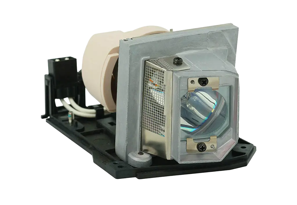 Lampe OPTOMA SP.8JA01GC01