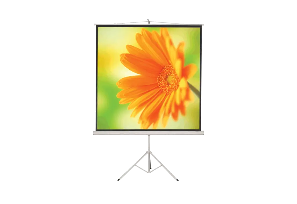 SCREEN'UP 51054